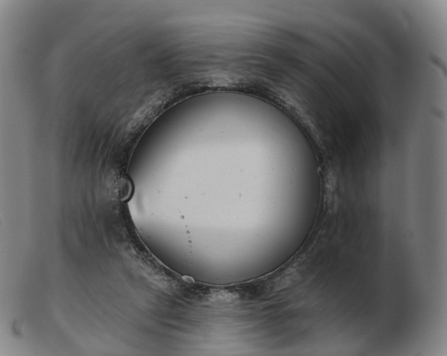 X0000103440257200809191731