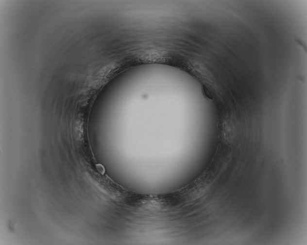 X0000103440259200809191731
