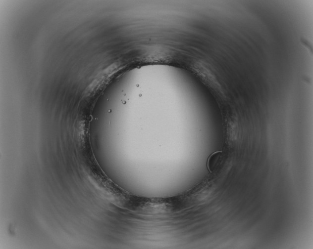 X0000103440260200809191731