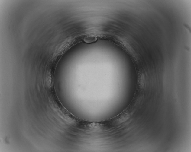 X0000103440261200809191731