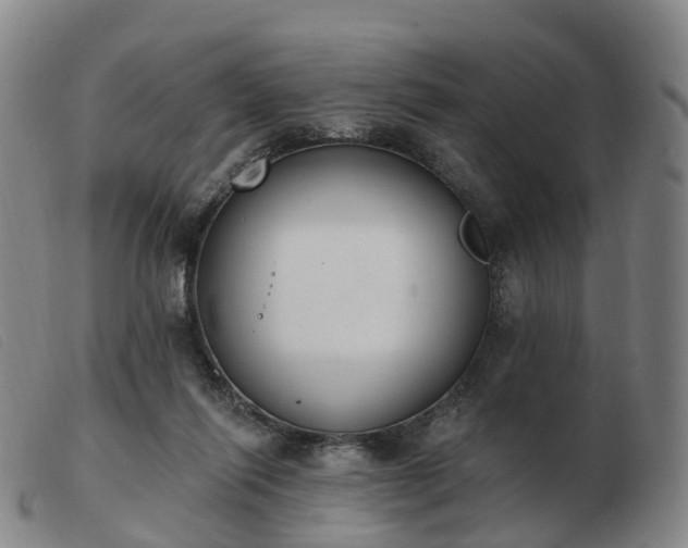 X0000103440262200809191731