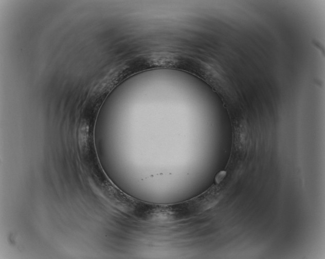 X0000103440263200809191731