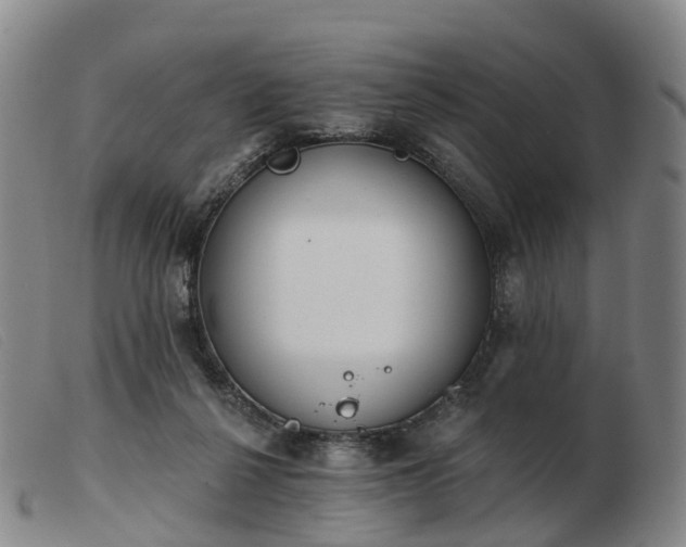 X0000103440264200809191731