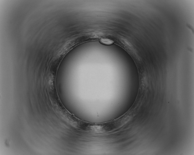 X0000103440265200809191732