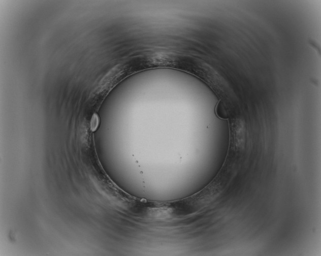 X0000103440266200809191732