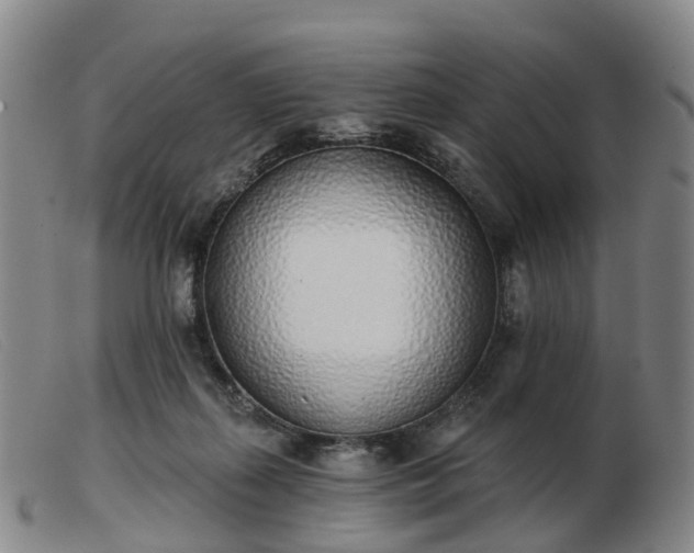 X0000103440267200809191732