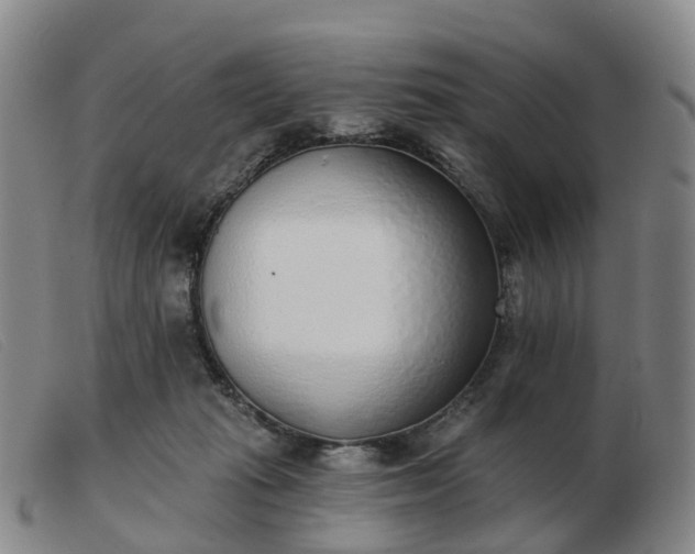 X0000103440269200809191732