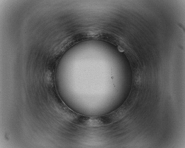 X0000103440270200809191732