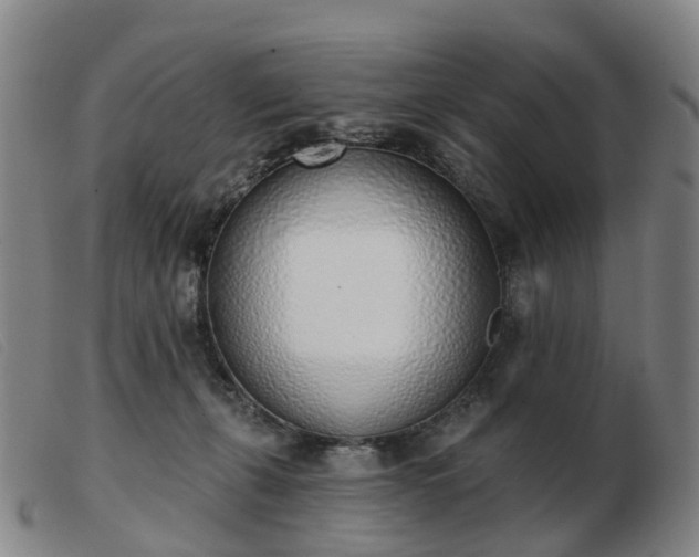 X0000103440271200809191732
