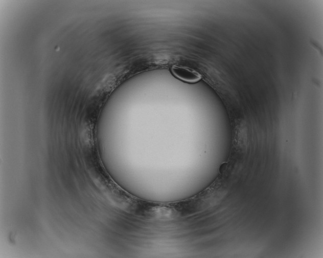 X0000103440272200809191732