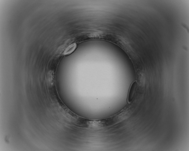 X0000103440273200809191732