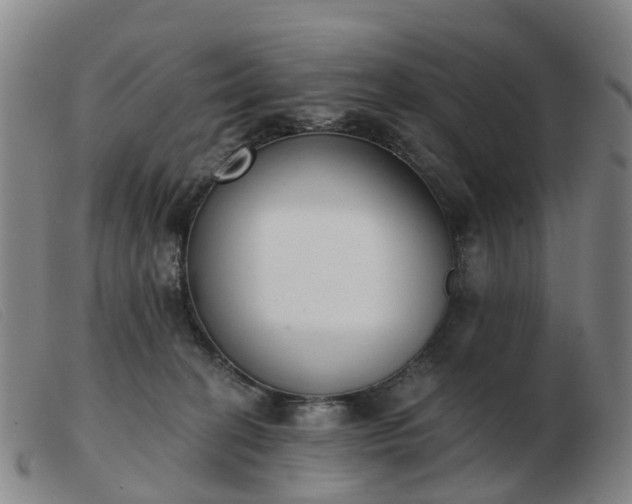 X0000103440274200809191732