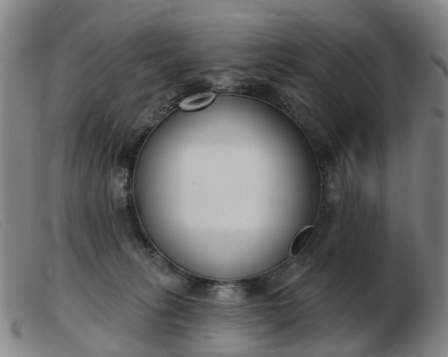 X0000103440275200809191732