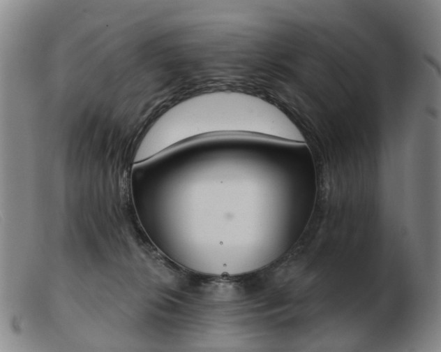X0000103440276200809191732