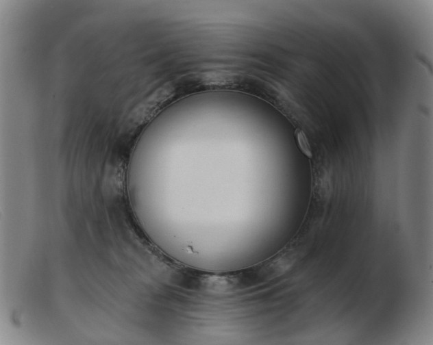 X0000103440277200809191732