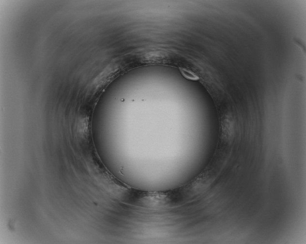 X0000103440278200809191732
