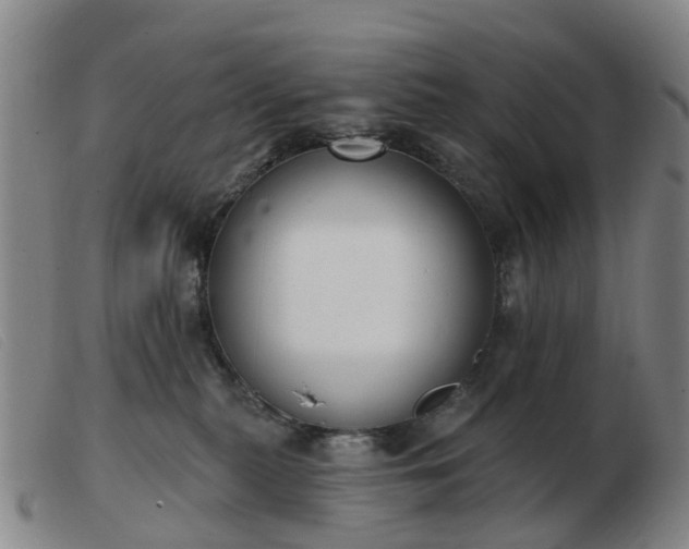 X0000103440279200809191732
