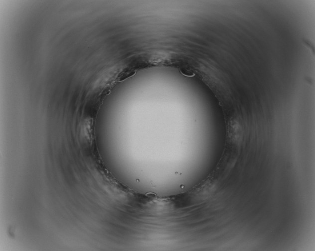 X0000103440280200809191732
