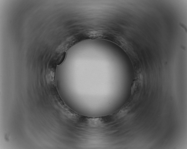 X0000103440281200809191732