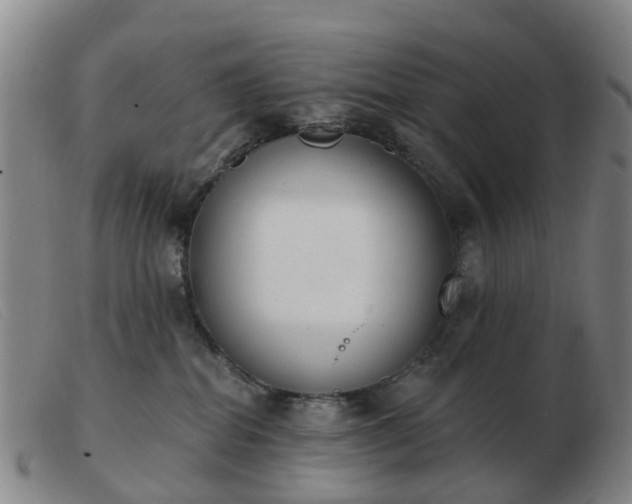 X0000103440282200809191732