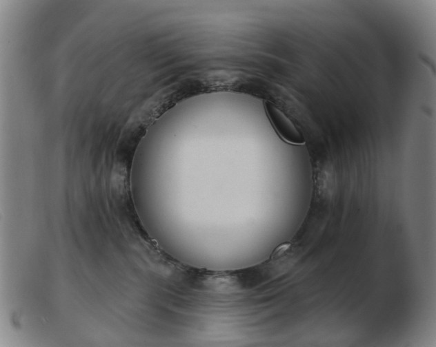 X0000103440283200809191732