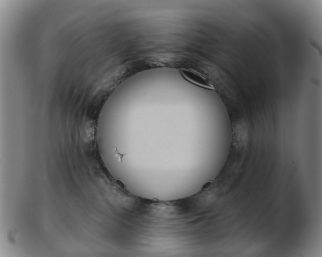 X0000103440284200809191732