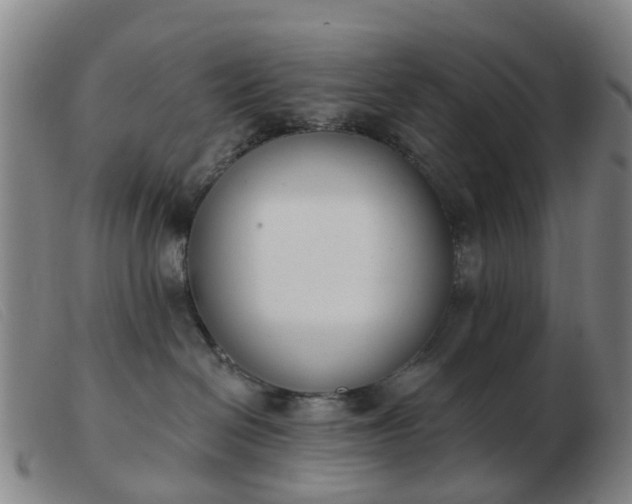 X0000103440286200809191732