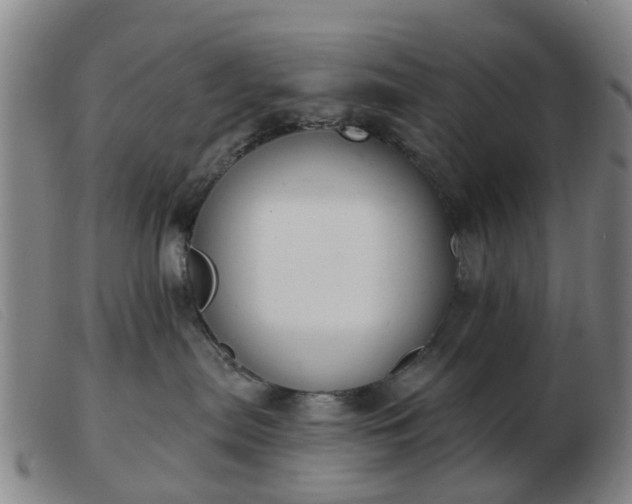 X0000103440287200809191732