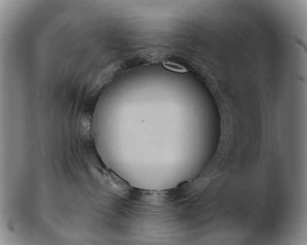 X0000103440288200809191732