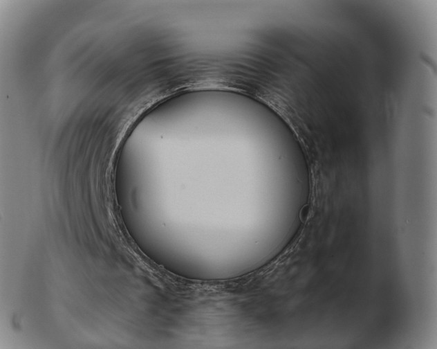 X0000103440289200809191731