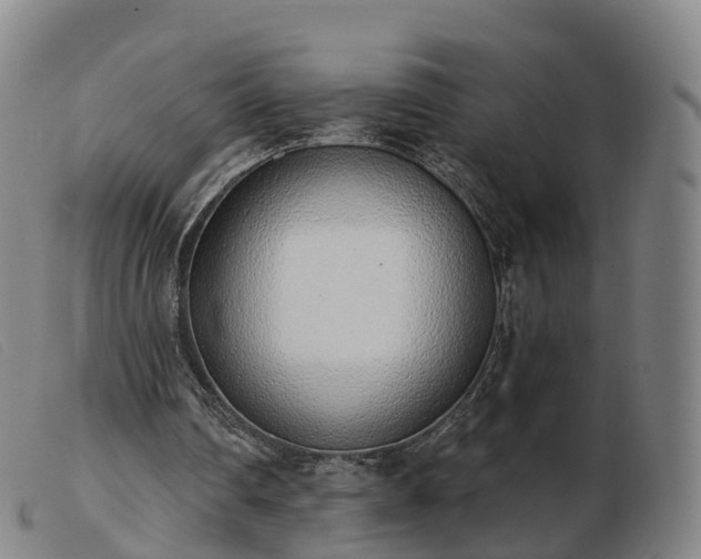 X0000103440290200809191731