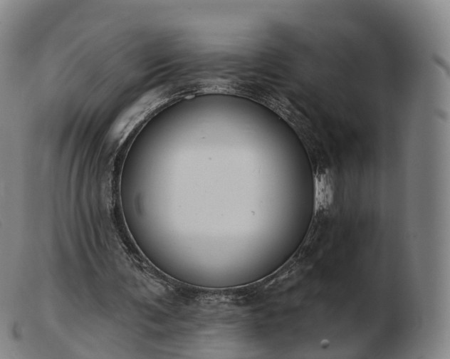 X0000103440291200809191731