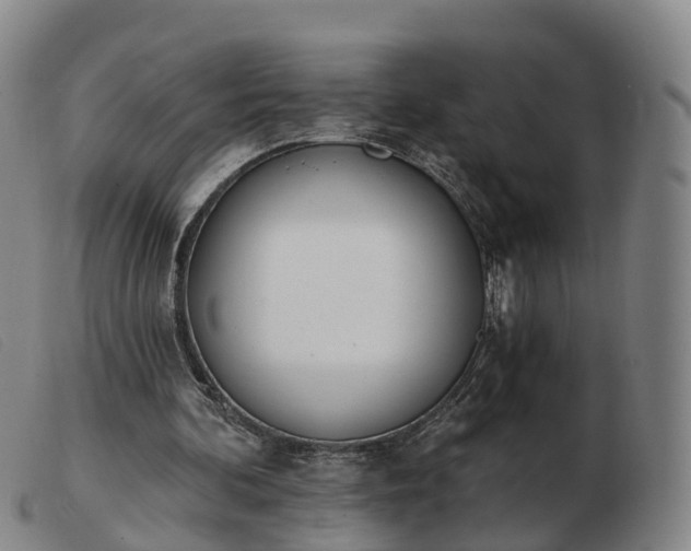 X0000103440292200809191731