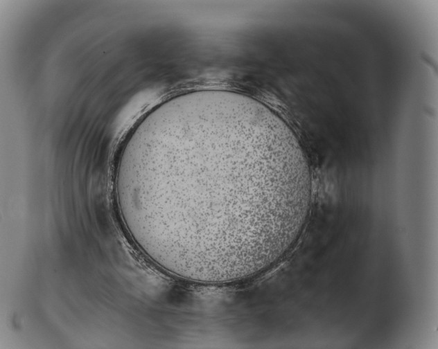 X0000103440293200809191731