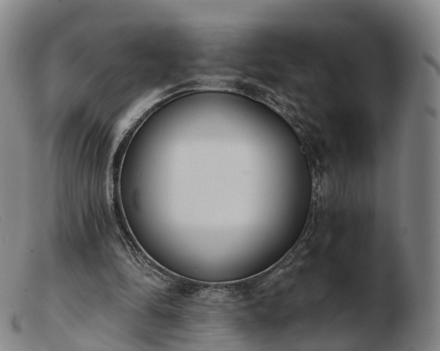 X0000103440294200809191731