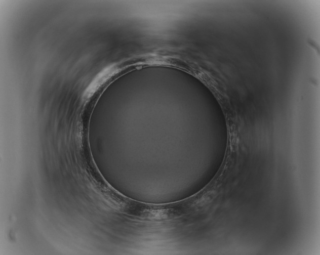 X0000103440295200809191731