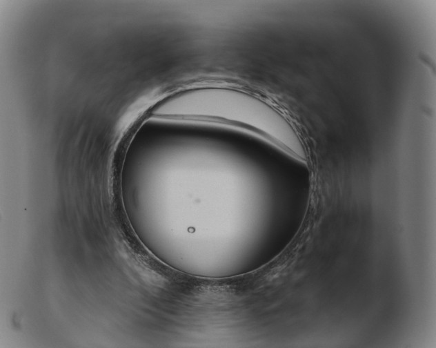 X0000103440296200809191731
