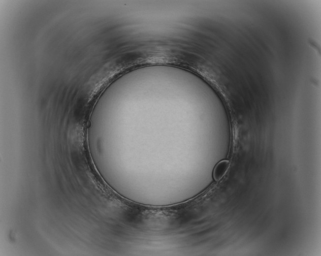X0000103440297200809191731