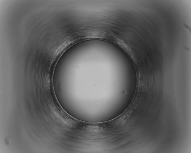 X0000103440298200809191731