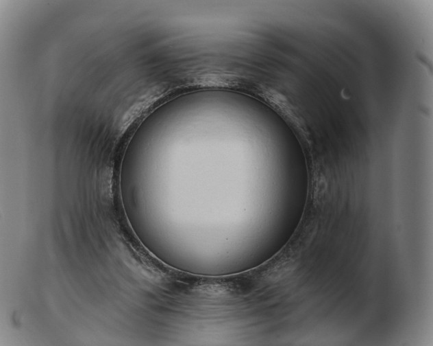 X0000103440299200809191731