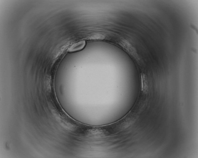 X0000103440300200809191731