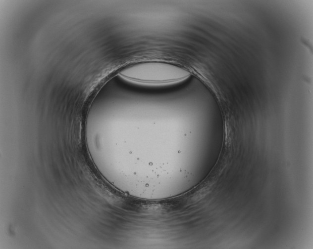 X0000103440301200809191731