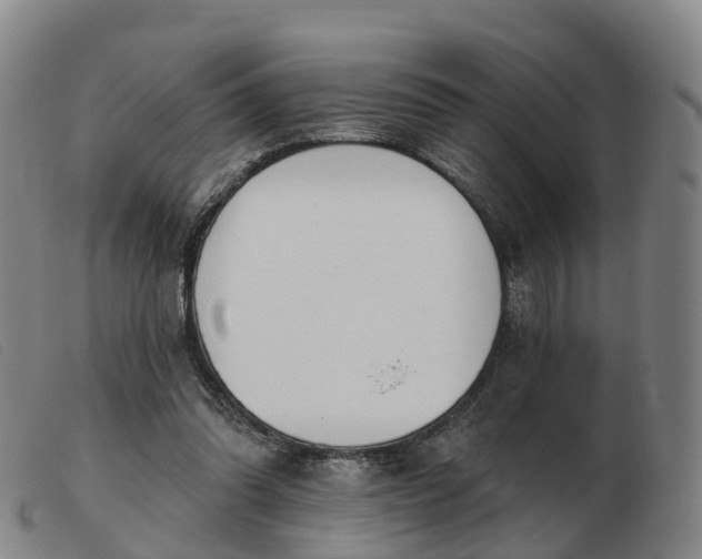 X0000103440302200809191731