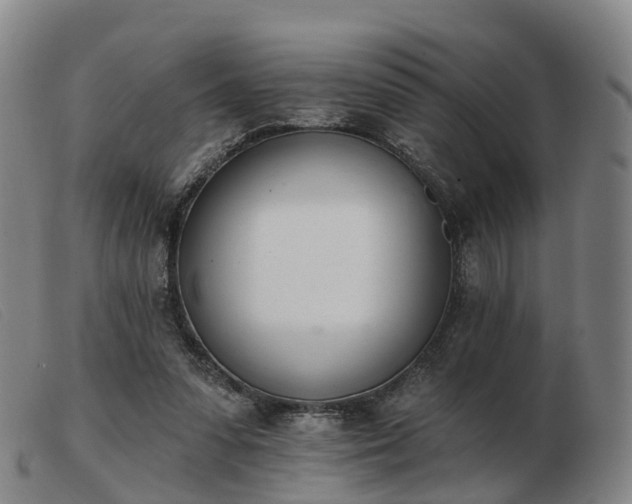 X0000103440303200809191731