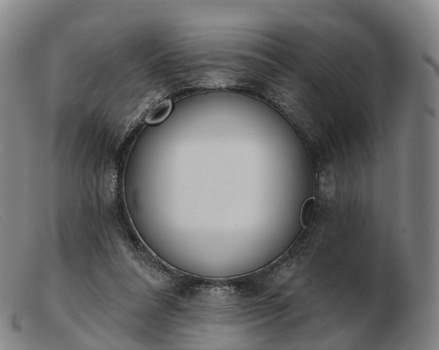 X0000103440304200809191731
