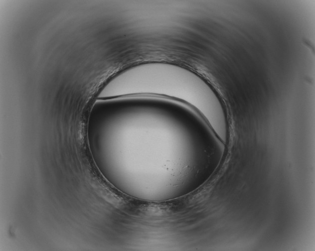X0000103440305200809191731