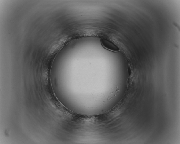 X0000103440306200809191731