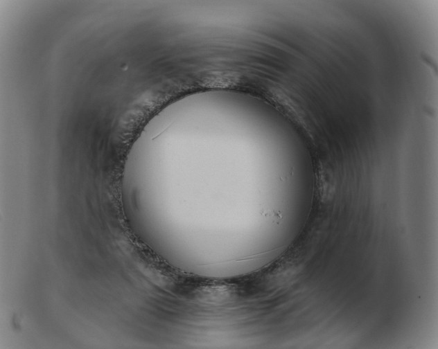 X0000103440307200809191731