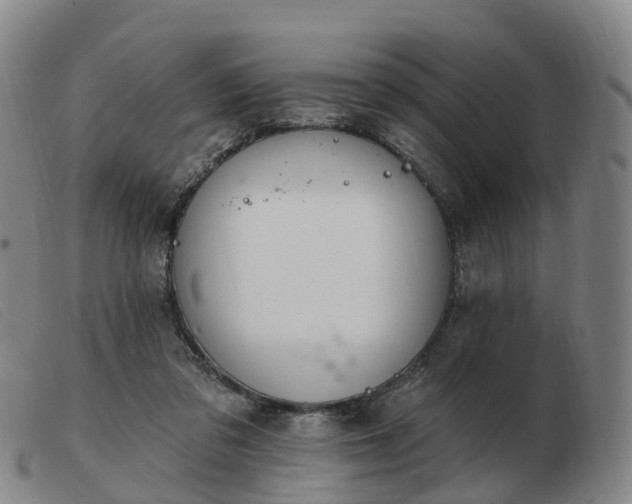 X0000103440309200809191731