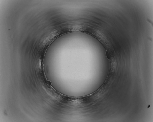 X0000103440310200809191731